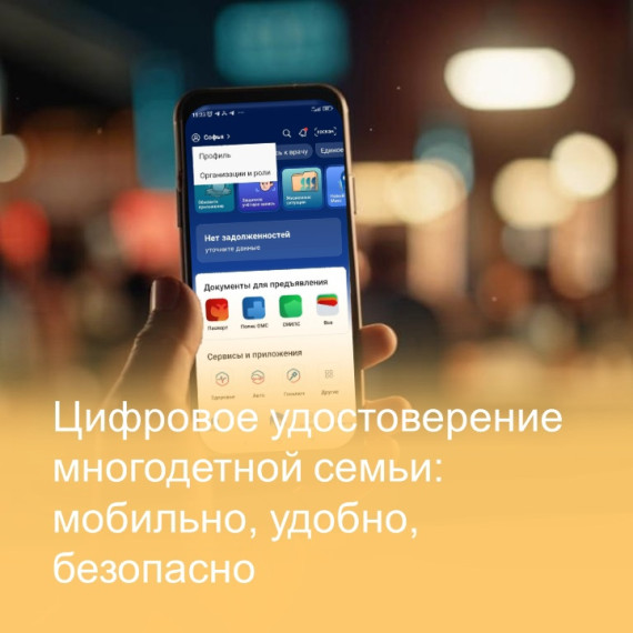 Получения мер социальной поддержки многодетных семей.